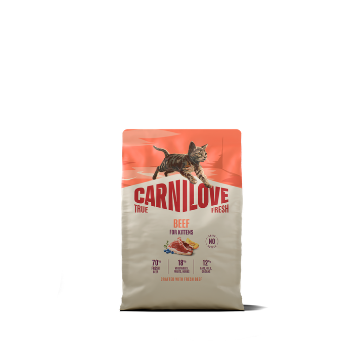 Carnilove Cat True Fresh Kitten Manzo secco