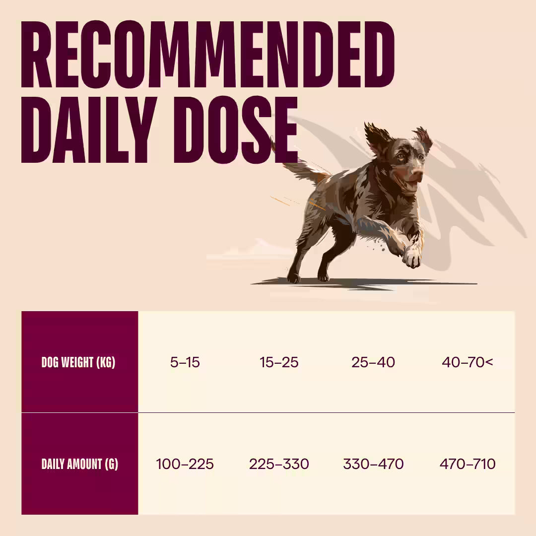 Carnilove Dog True Fresh Adult Manzo secco