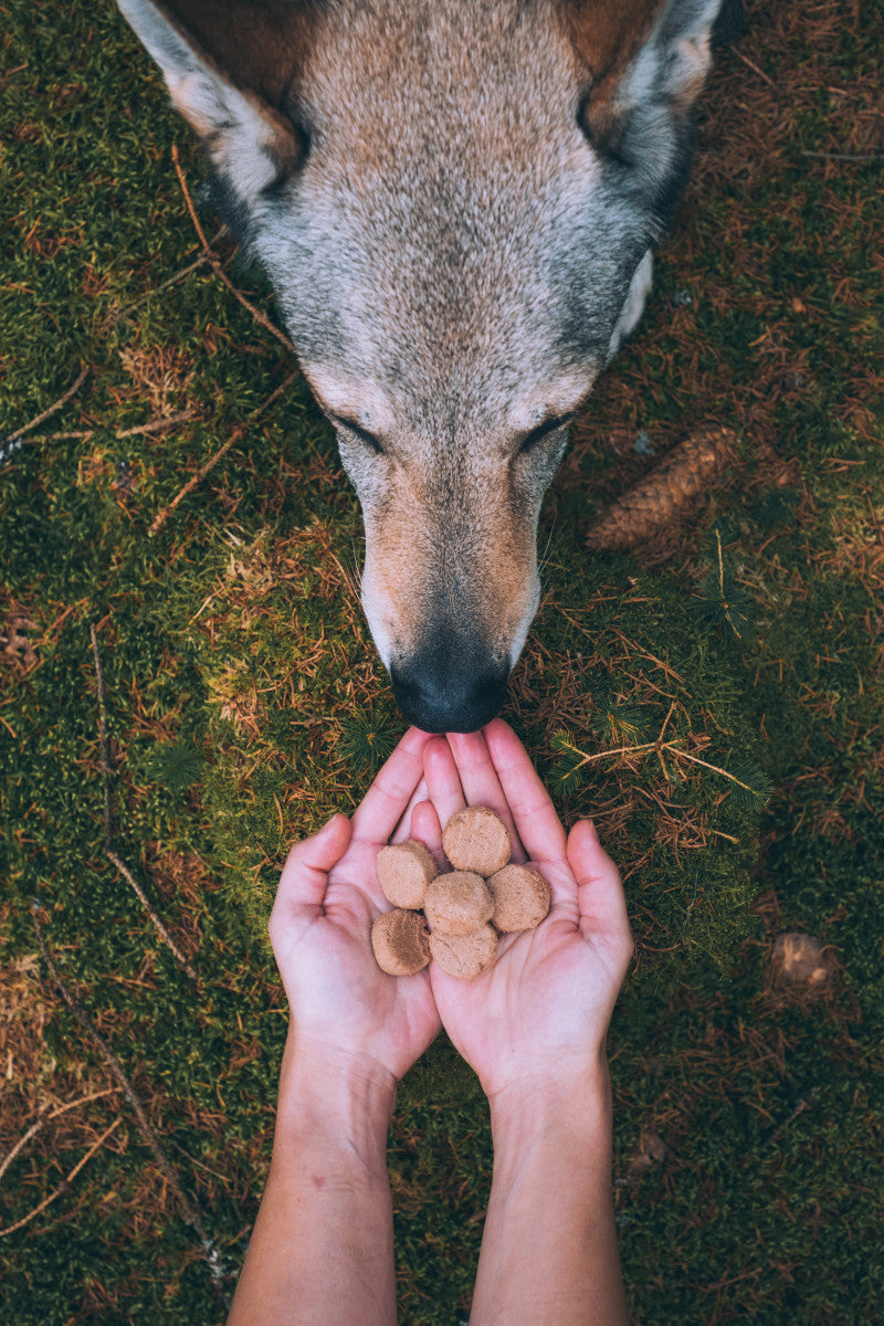 Carnilove Freeze-Dried Raw Snack Monoproteico Tacchino 60 g