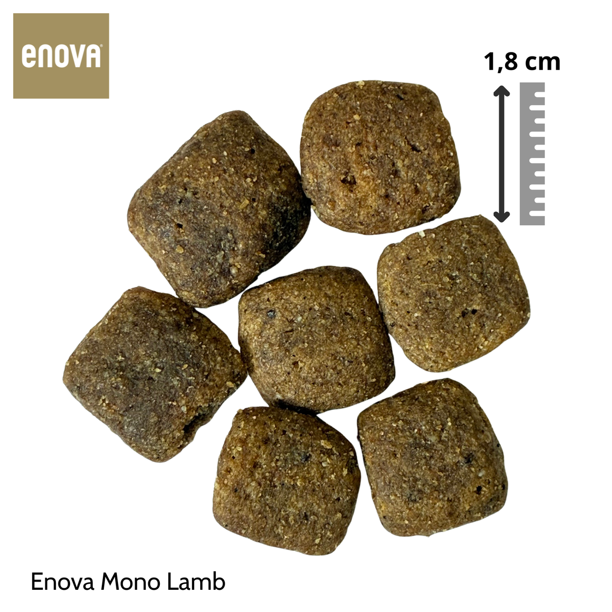 Enova Mono Lamb 12 kg - Adult Agnello