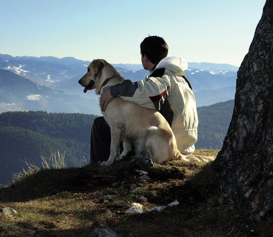 enova.jpg__PID:8cc17900-0ea9-4bea-99ef-9ca92dd410a9