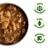 Wild Balance Casseruola Casalinga Manzo & Ananas 280 g