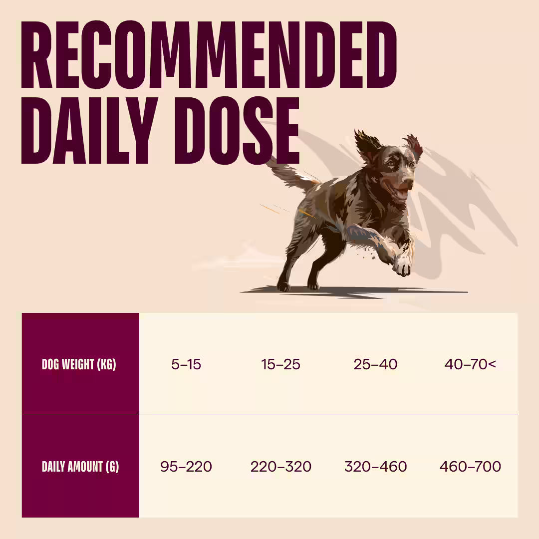 Carnilove Dog Active Adult Agnello & Cinghiale secco