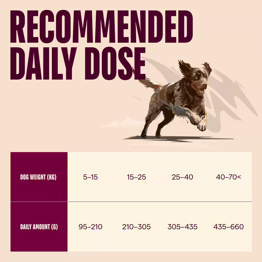 Carnilove Dog Active Adult Cervo & Renna & Cinghiale secco
