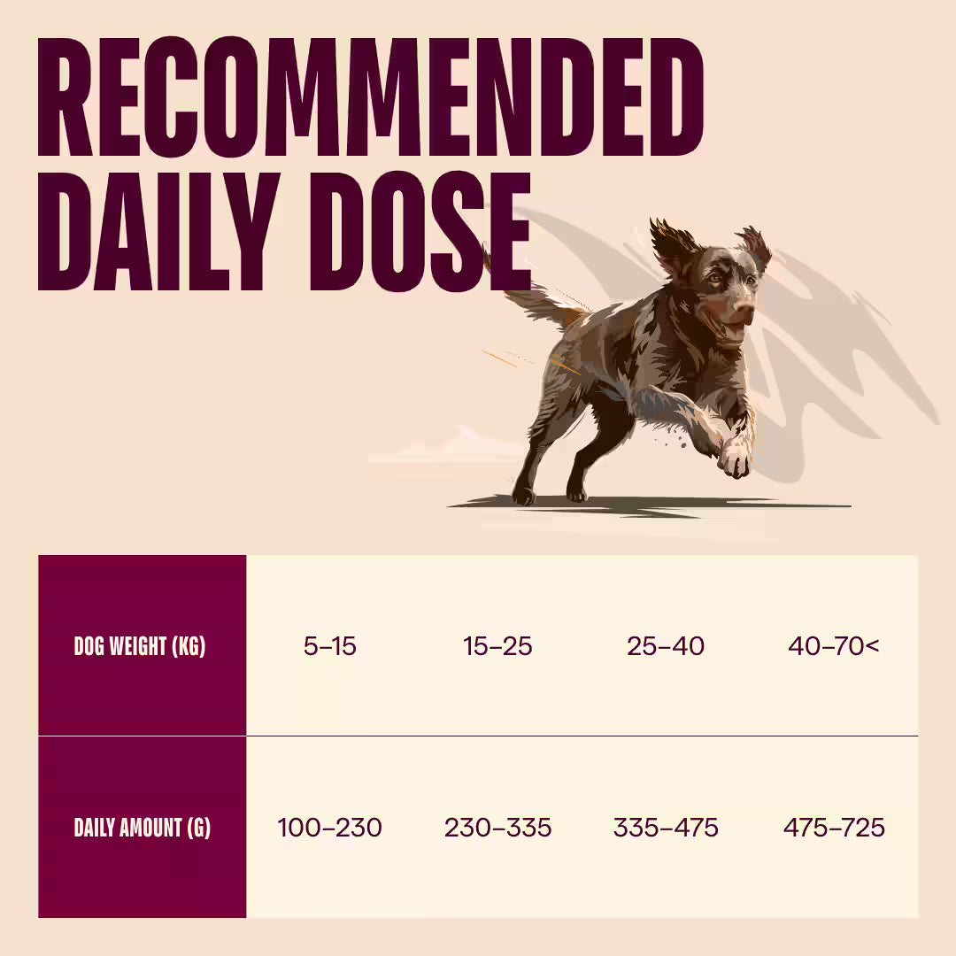 Carnilove Dog True Fresh Adult Tacchino secco