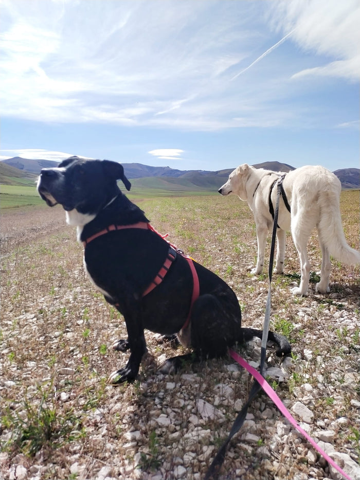 Federico e Carlotta.jpg__PID:1b860075-1f31-490c-8bab-154440695026