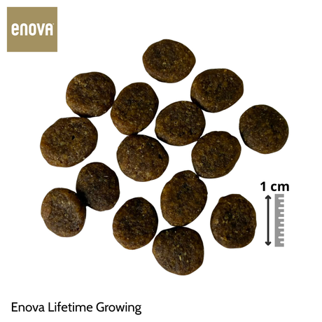 Enova Lifetime Growing 12 kg - Puppy, per cuccioli di tutte le taglie