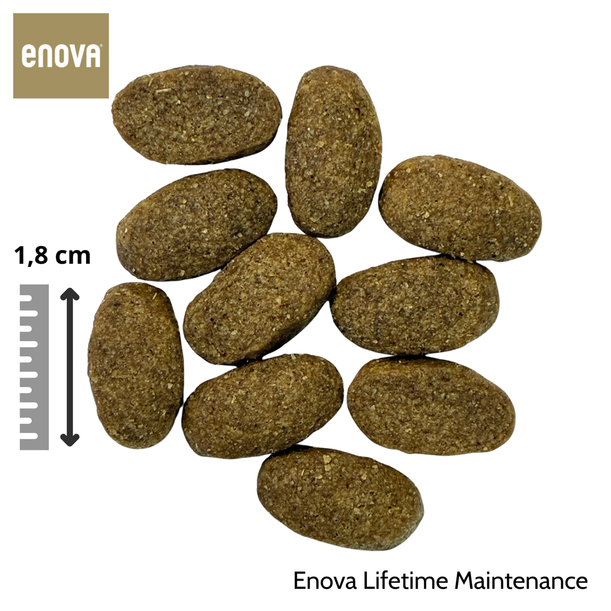Enova Lifetime Maintenance 12+2 kg OMAGGIO - Adult al pollo