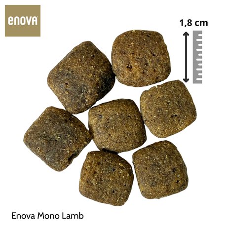 Enova Mono Lamb 12 kg - Adult Agnello