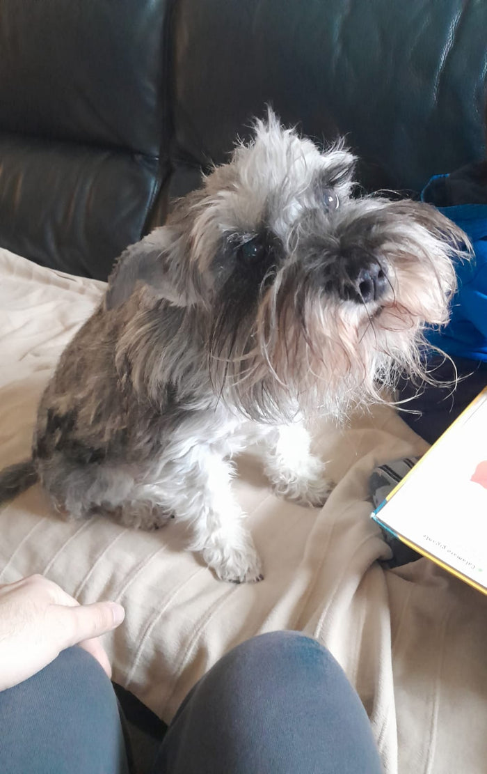 Nova.jpg__PID:a96c2351-2f06-4c14-9695-d5a26d68d25e