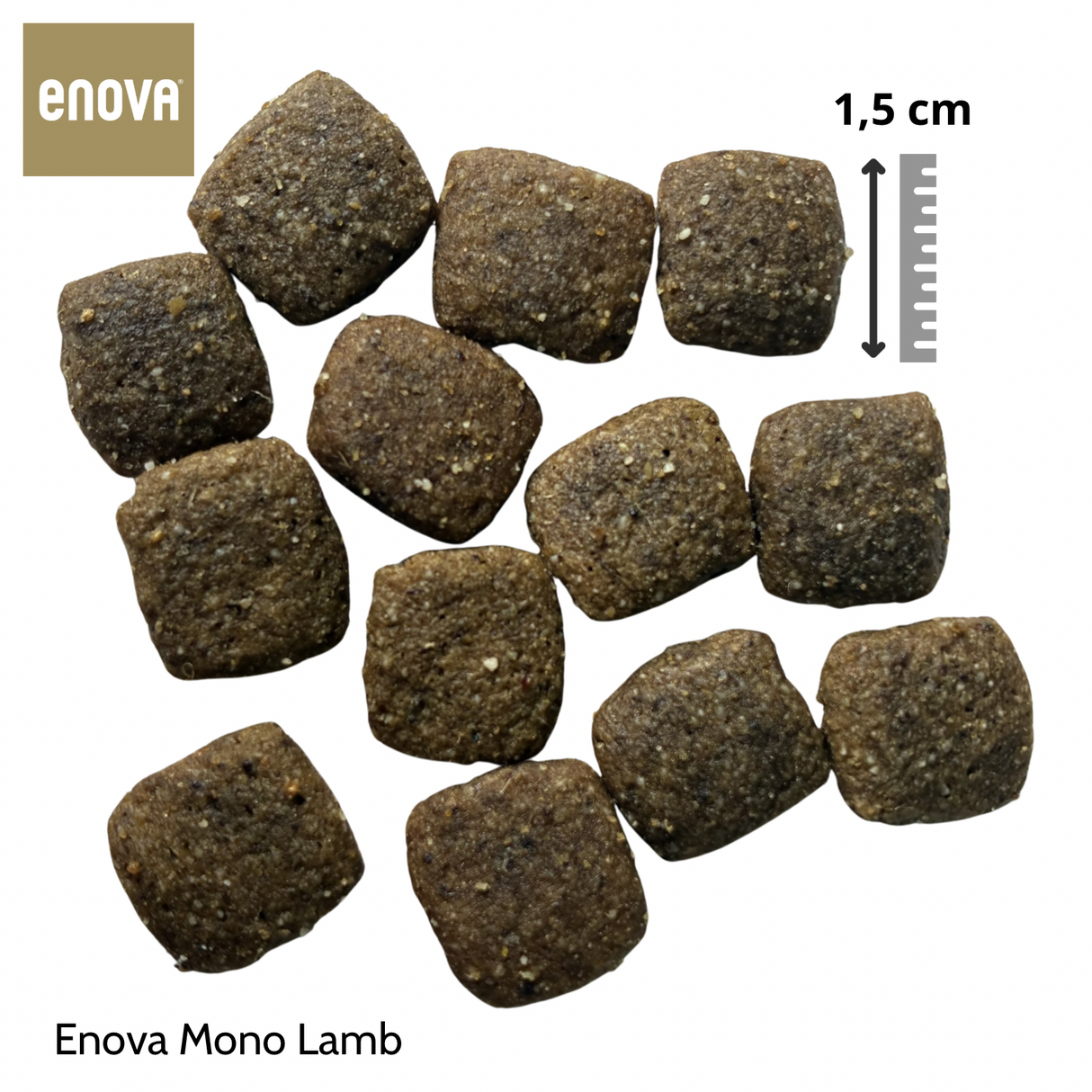 Enova Mono Lamb 12 kg - Adult Agnello