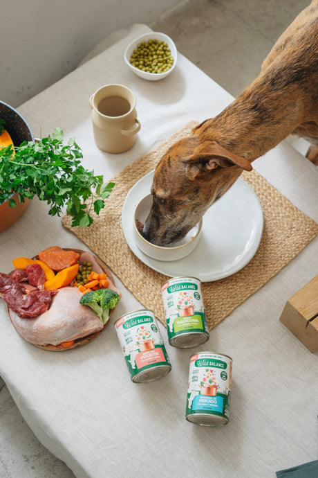 Wild Balance Dog Farmer's Stew con Tacchino & Manzo 400 g