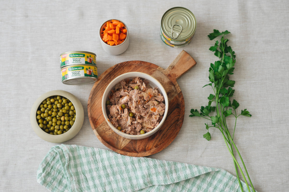 Wild Balance Cat Chicken Casserole con Pollo per gatti 80 g