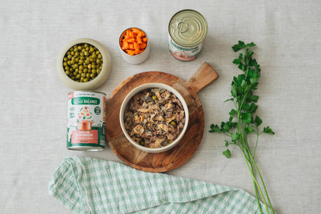 Wild Balance Dog Fisherman's Stew con Salmone & Maiale 400 g